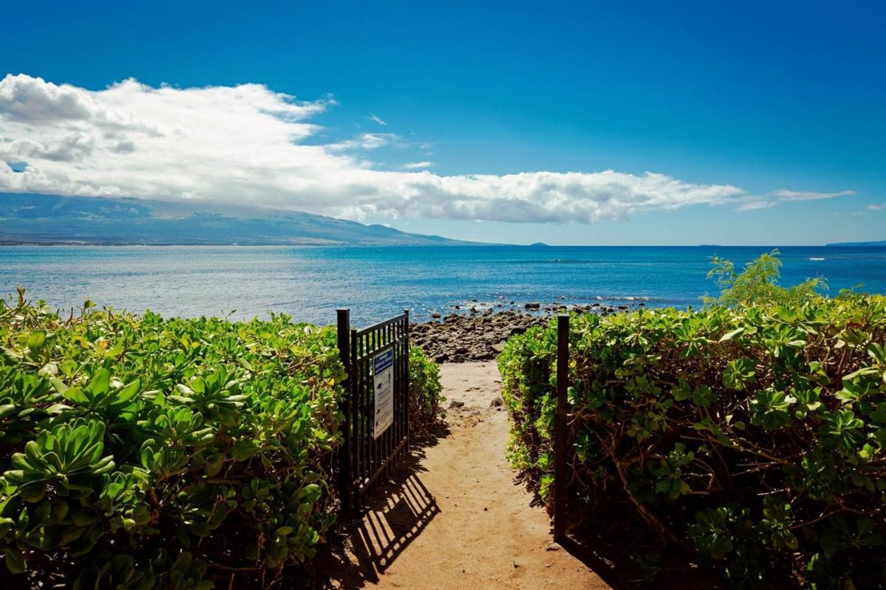 Stunning Maui Direct Ocean Front On The Beach, Walk To Beach From Condo, Watch Turtles, Whales, Ac In All Rooms Ocean View Pool And Spa Wailuku المظهر الخارجي الصورة
